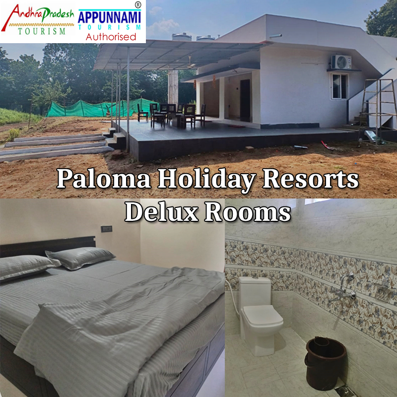 PALOMA HOLIDAY RESORTS DELUX ROOMS
