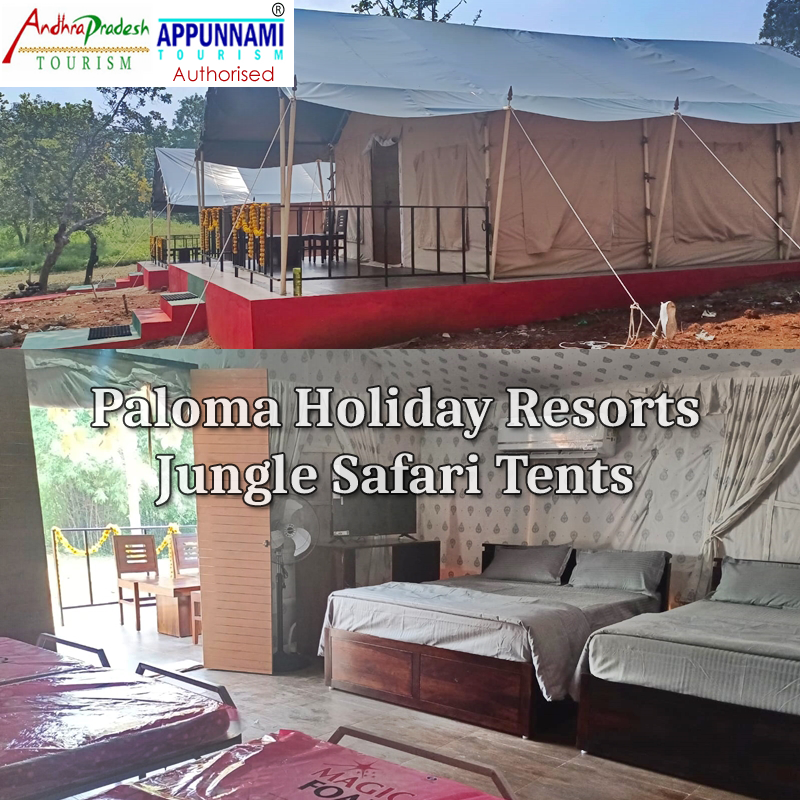 PALOMA HOLIDAY RESORTS JUNGLE SAFARI TENTS