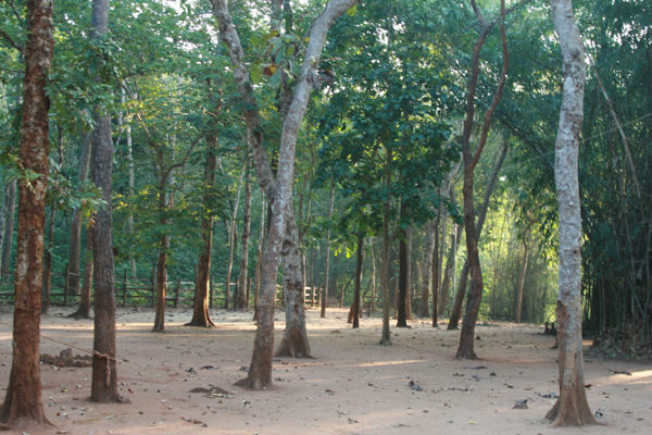 ARAKU MAYURI HARITHA HILL RESORT ARAKU MAYURI HARITHA HILL RESORT