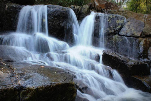 ARAKU MAYURI HARITHA HILL RESORT ARAKU MAYURI HARITHA HILL RESORT